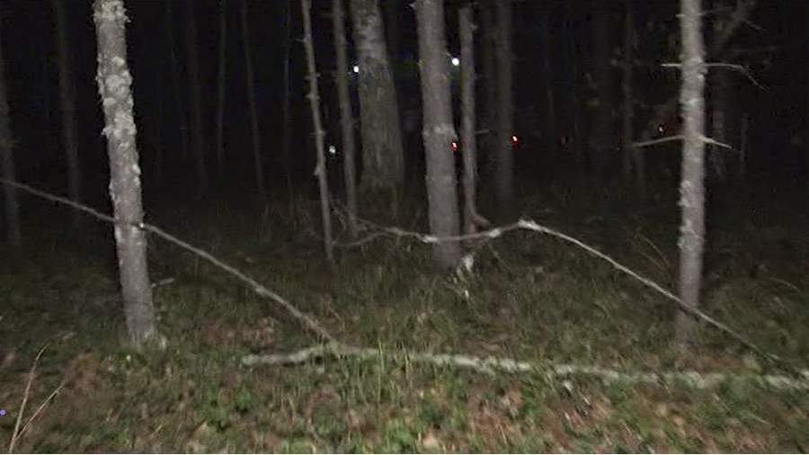 В Нижегородской области нашли потерявшегося мальчика