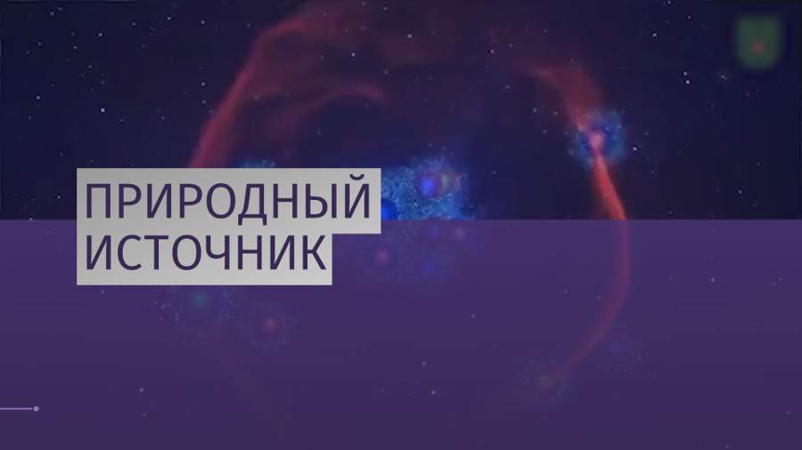 Ученые предлагают биотехнологии для решения экопроблем