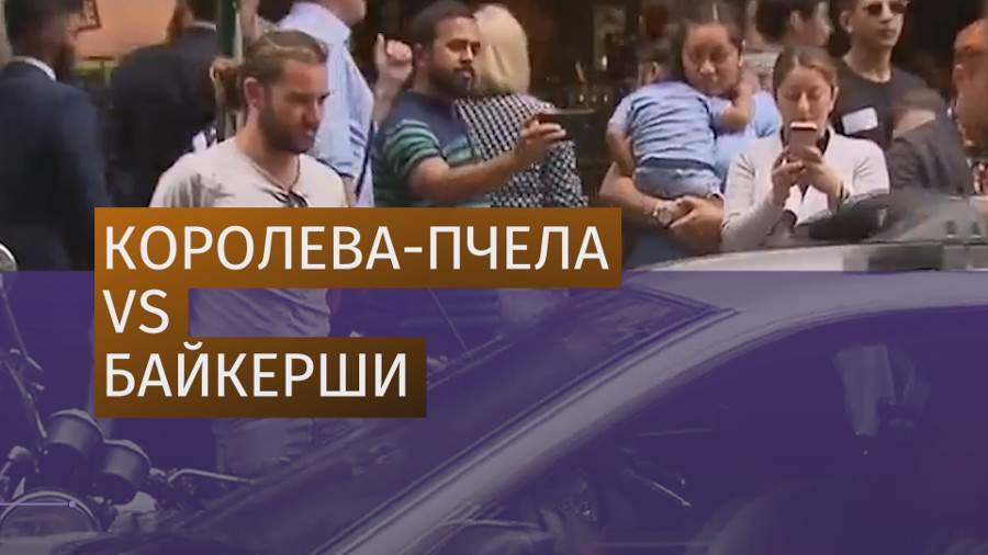 Пчелы вызвали хаос в центре Сиднея