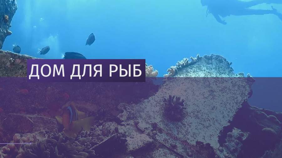 Американский Lockheed утопили в заливе в Иордании