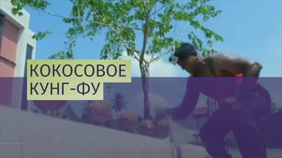 В Германии побит рекорд по разбиванию кокосов кулаком