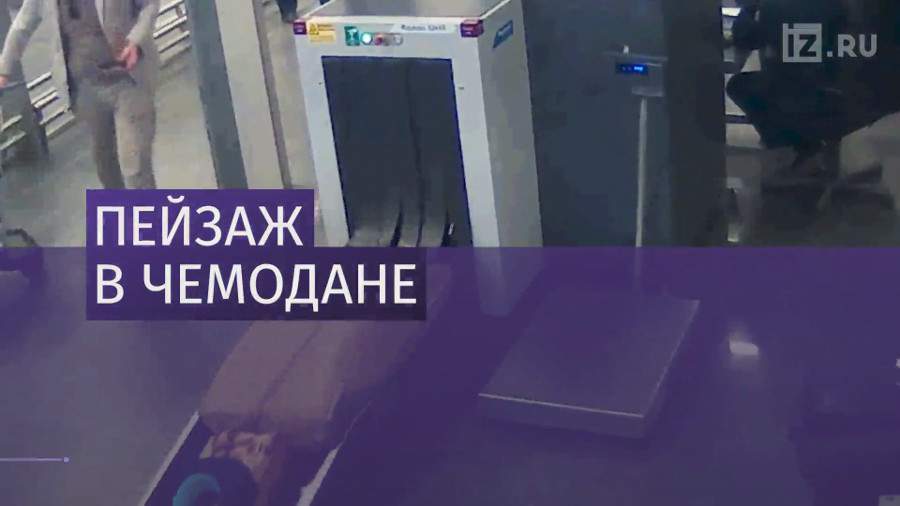 Во Внуково у пассажира изъяли раритетную картину 