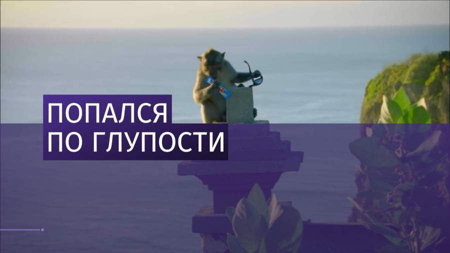 В Таиланде задержан босс японской якудза