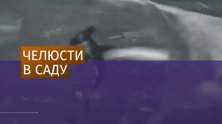 искоркой упала с неба звезда слушать онлайн искоркой упала с неба звезда слушать онлайн