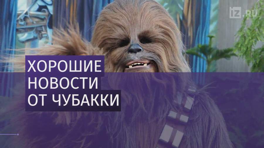 Детский врач сообщил пациенту хорошие новости в костюме Чубакки