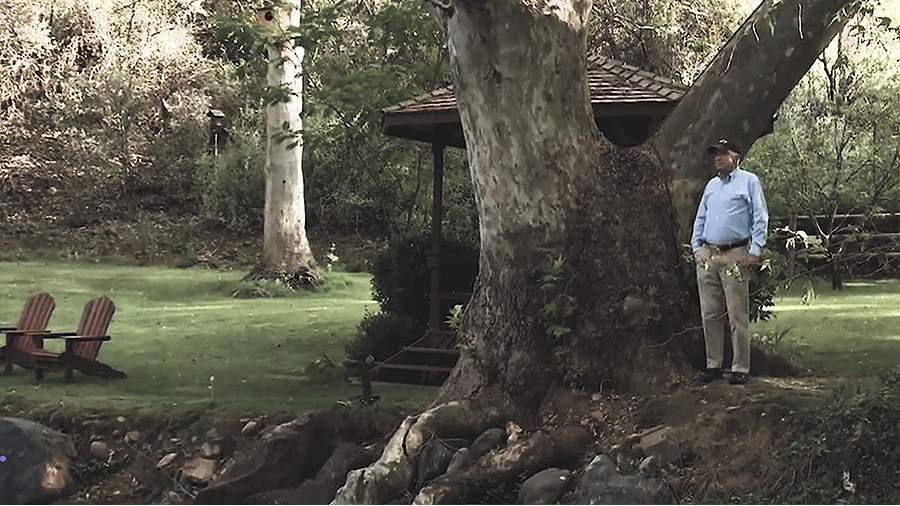 Маккейн может покинуть сенат США