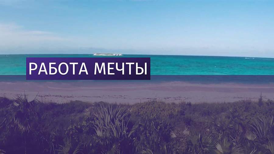 На Багамах ищут смотрителя за фламинго