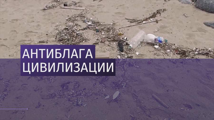 В Испании кашалот наглотался пластика и погиб