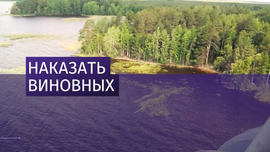 Начались слушания по делу о трагедии на Сямозере