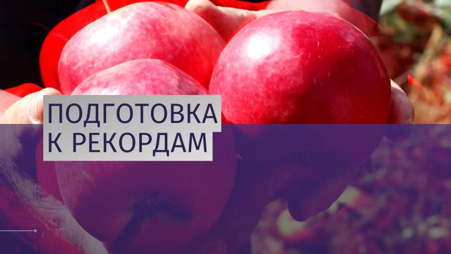 Путин встретился с главой Минсельхоза РФ