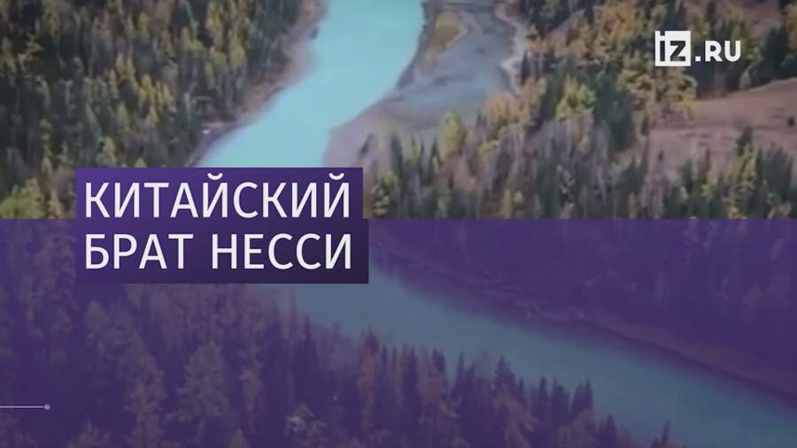 Плавающее в озере загадочное существо засняли на видео в Китае