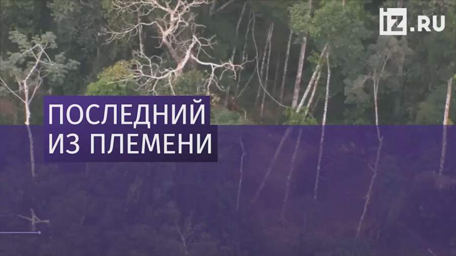 В джунглях Амазонии нашли «самого одинокого человека в мире»