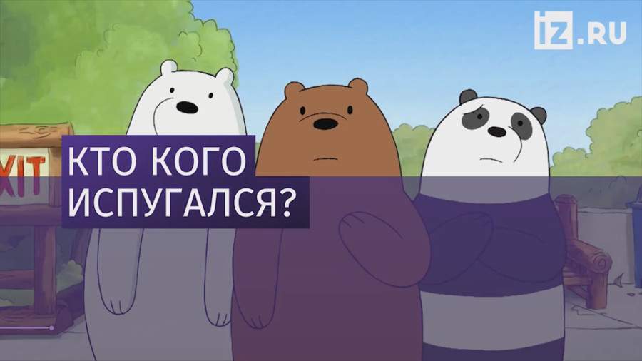 Три медведя вышли на дорогу на Ямале | Видео | Известия | 24.07.2018