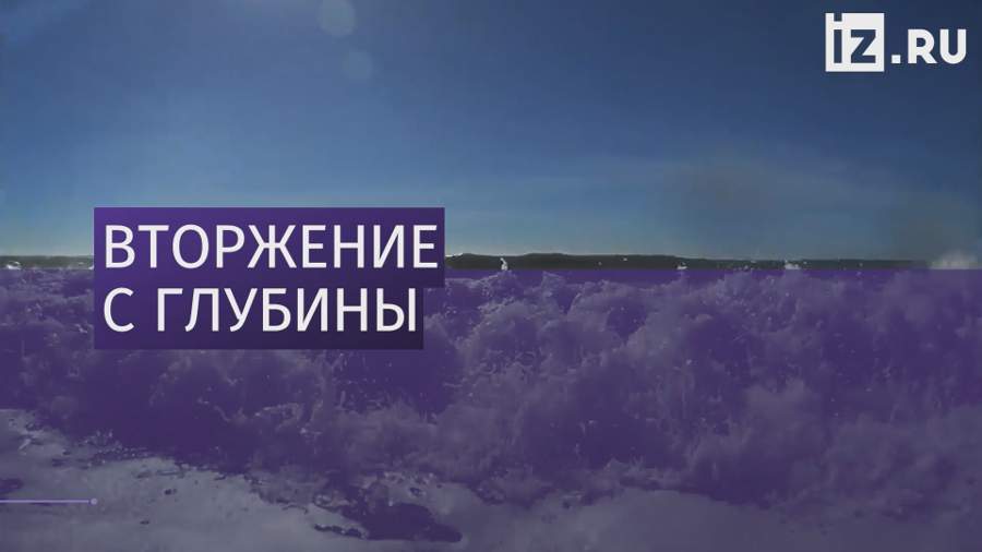 Жители Камчатки нашли останки неизвестного существа