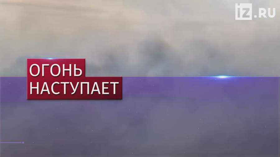 Под Оренбургом бушуют лесные пожары