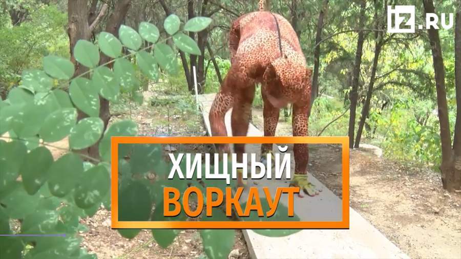 Пожилой китаец удивил занятиями фитнесом в образе леопарда