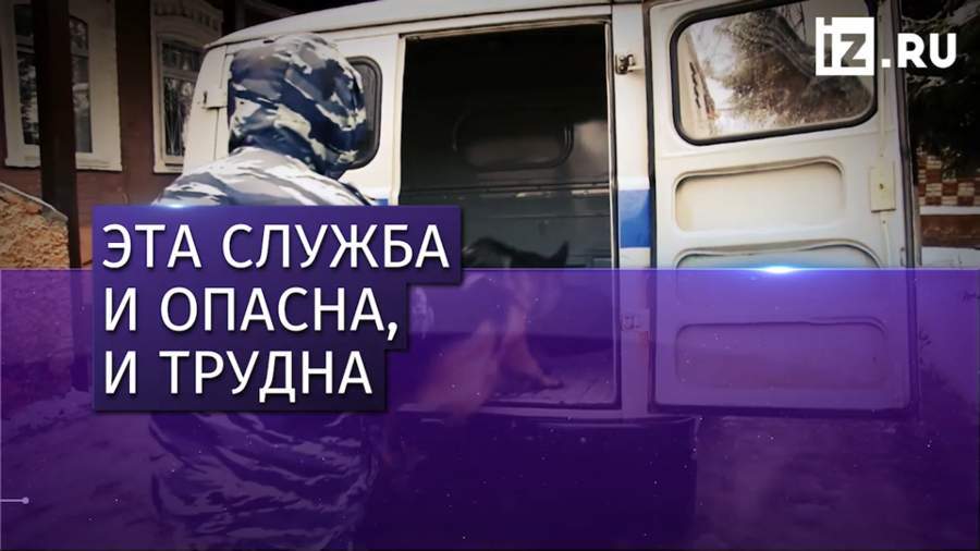 Колокольцев поздравил сотрудников и ветеранов МВД с профессиональным праздником