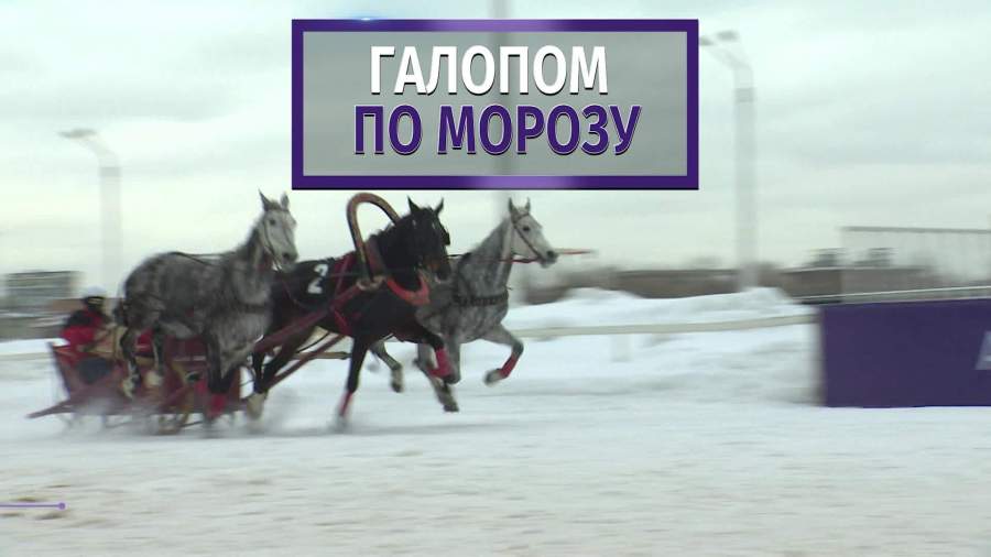 В Москве прошел XX чемпионат русских троек