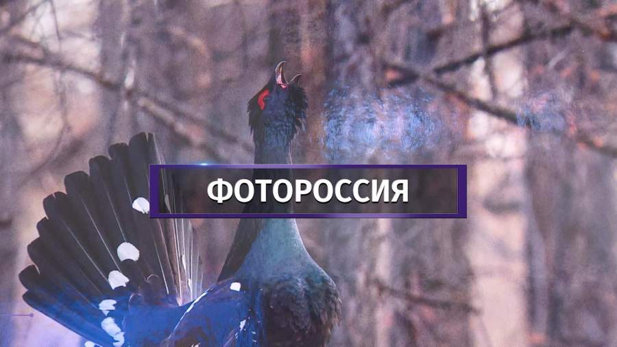 В ЦДХ открылся фестиваль «Первозданная Россия»