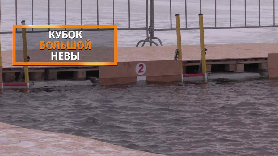 Моржи из пятнадцати стран устроили заплыв в ледяной Неве