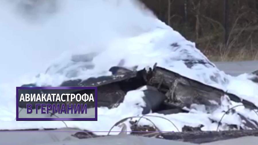 Самолет с совладелицей S7 на борту разбился в Германии