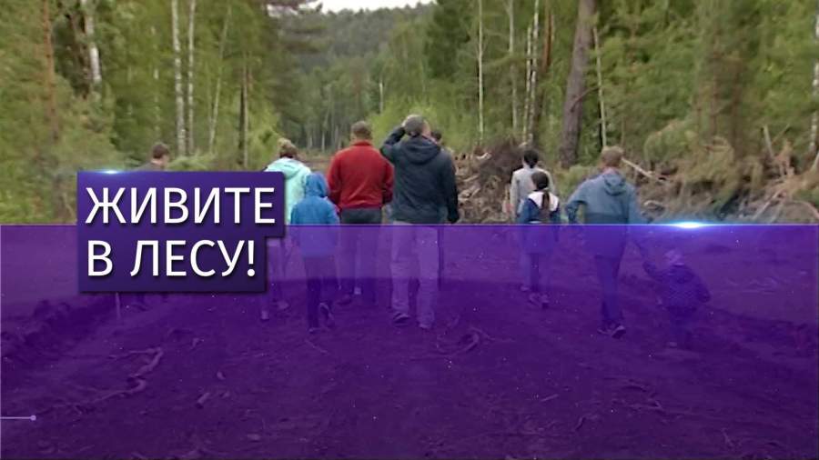 Многодетным семьям из Иркутска дали землю в глухом лесу