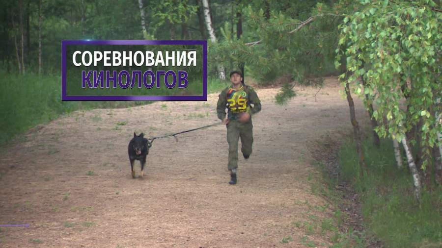 Конкурс кинологов и их питомцев «Верный друг» завершился в Пскове