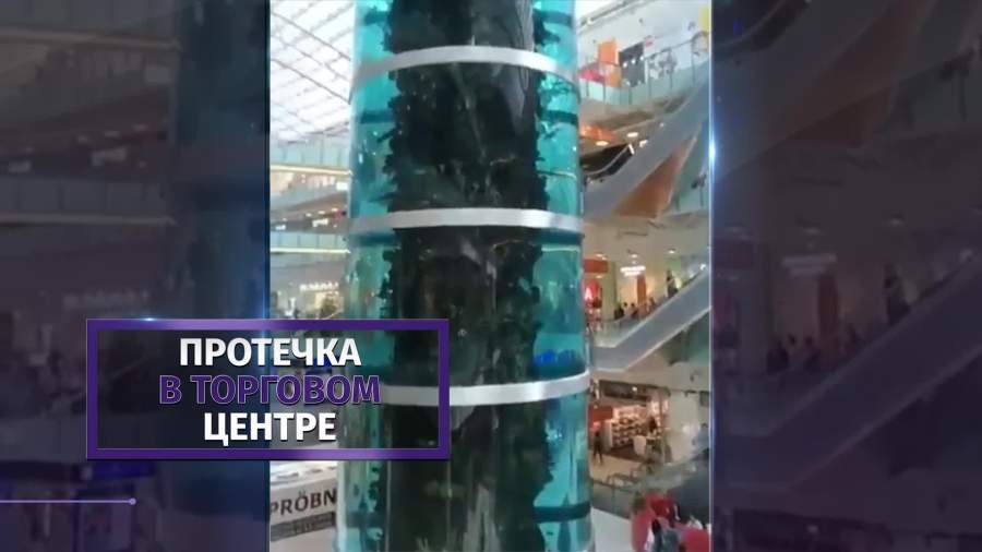 В самом большом аквариуме Европы появилась протечка