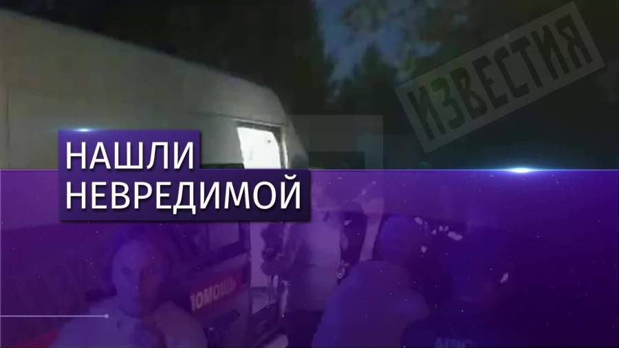 Пропавшую в лесу под Петербургом шестилетнюю девочку нашли живой