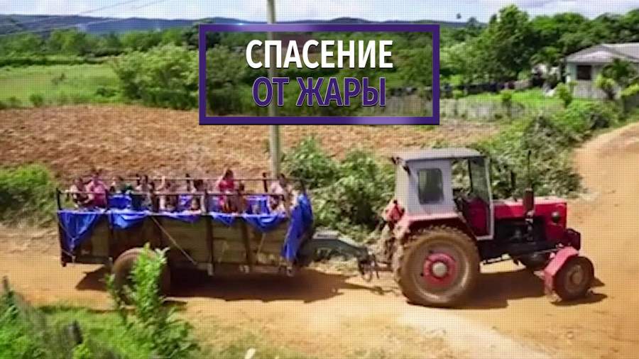 Трактор-бассейн обнаружили на Кубе