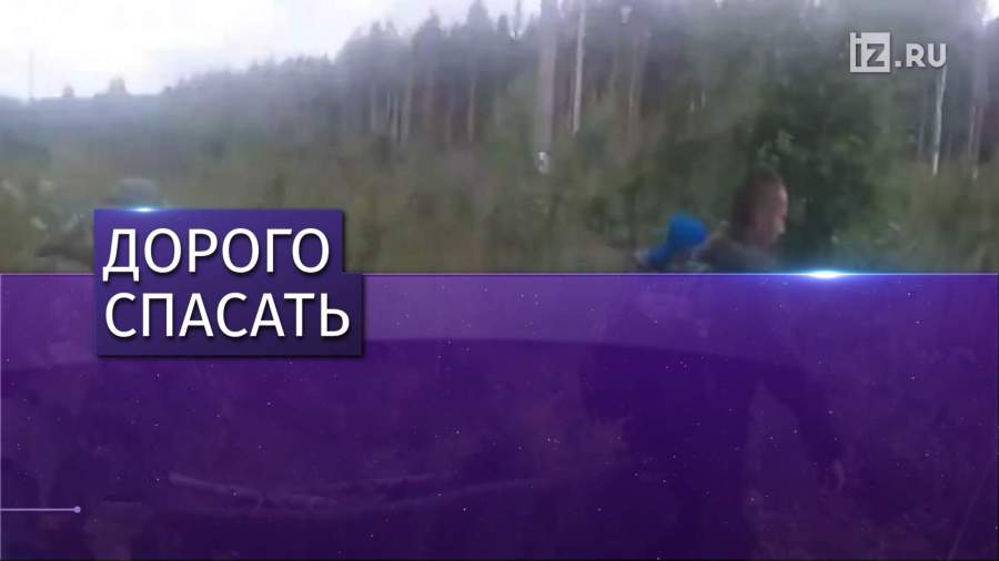 На заблудившихся грибников хотят накладывать штрафы