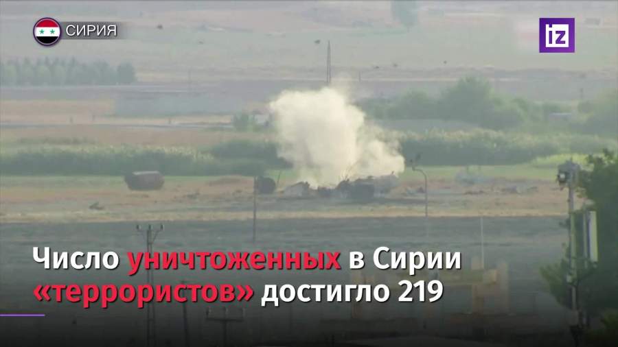 Турция уничтожила более 200 «террористов» с начала операции в САР