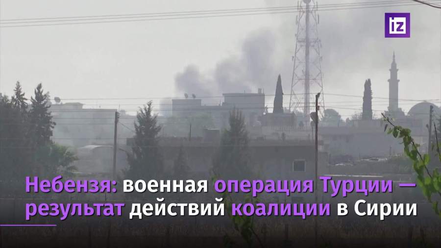 Небензя связал операцию Турции в Сирии с демографической политикой США