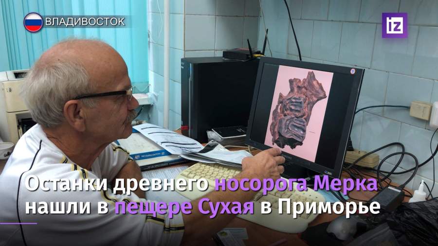 В Приморье нашли останки древнего носорога