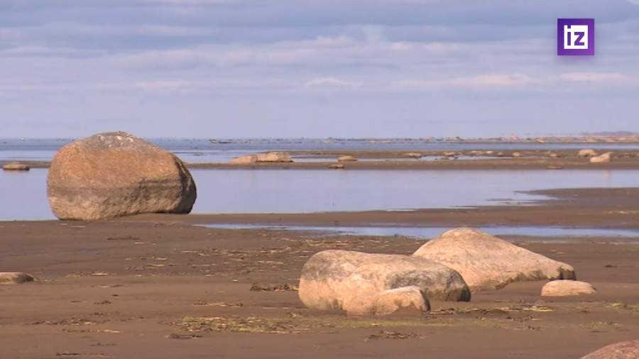 Уровень воды в Чудском озере оказался ниже нормы