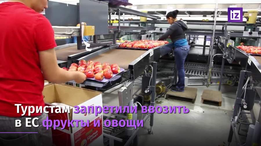 Туристам запретили ввозить в Евросоюз фрукты и овощи