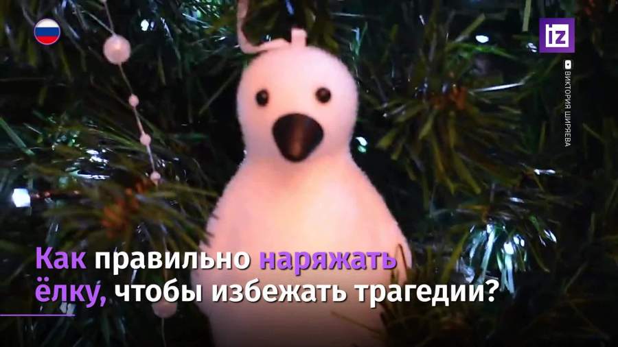 В МЧС дали рекомендации, как правильно украшать елку
