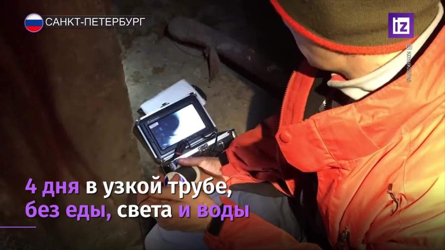 В Петербурге из вентиляционной шахты достали котенка