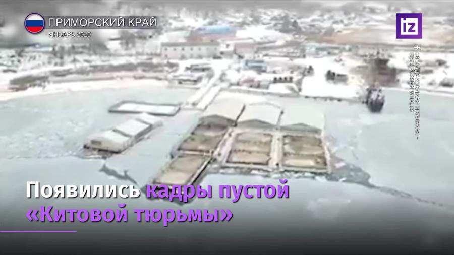 В Сети появились кадры пустой «китовой тюрьмы»