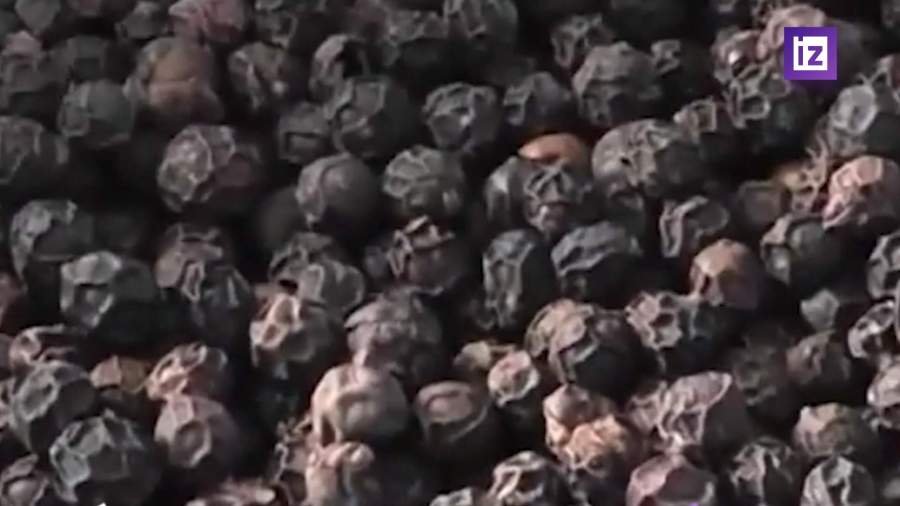 Эксперты обнаружили бактерии и плесень в черном перце