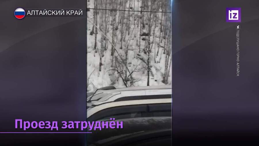 Проезд к пяти селам в Алтайском крае оказался затруднен из-за снегопадов