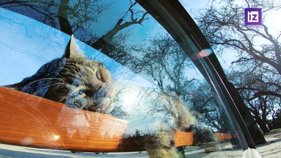 Март в Москве идет на рекорд тепла