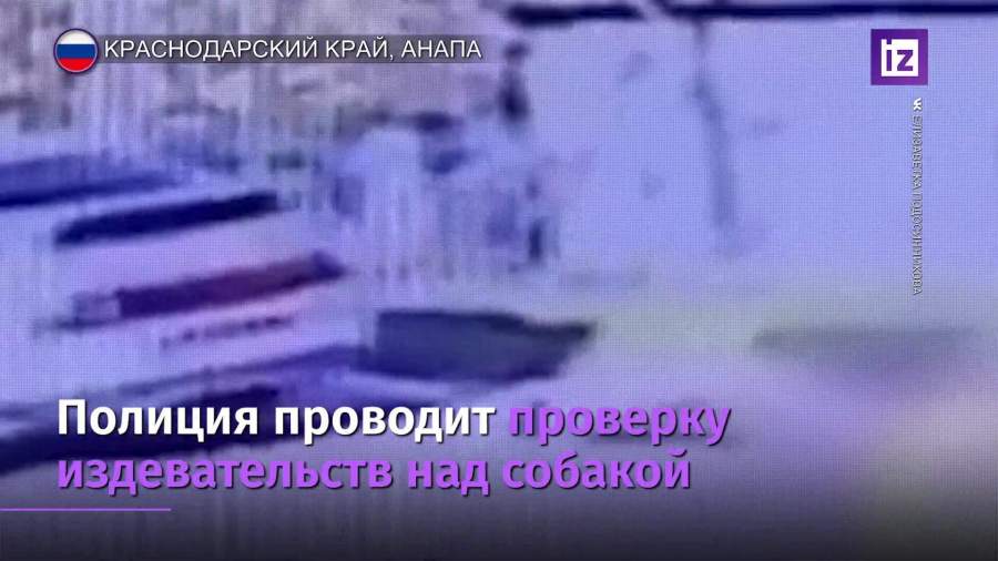 Женщина привязала собаку к машине и протащила по дороге