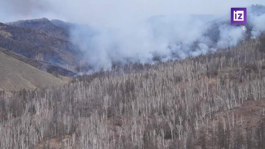 Площадь лесных пожаров в РФ увеличилась до 60 тыс. га