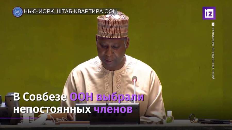 Генассамблея ООН выбрала новых непостоянных членов Совета Безопасности