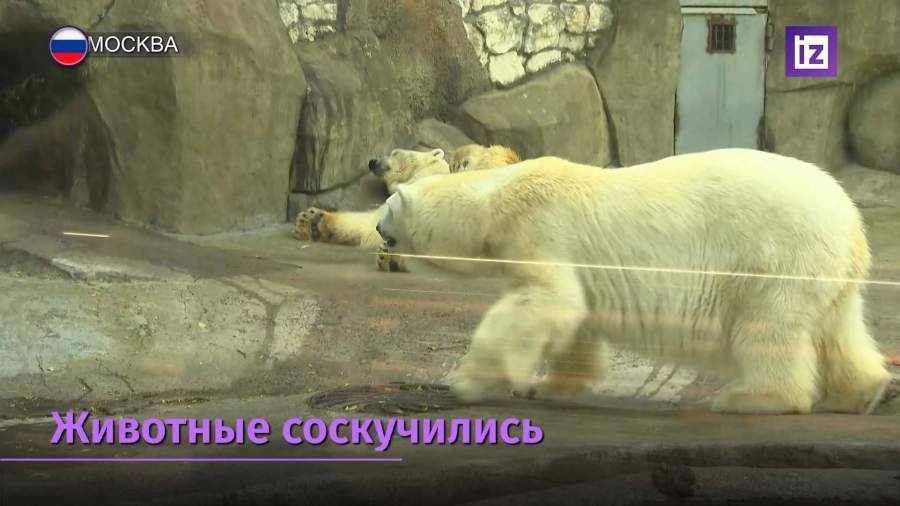 В Москве вновь открылся зоопарк