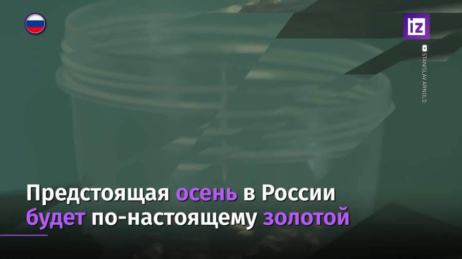 Ювелиры предупредили о росте цен на золотые украшения на 30%
