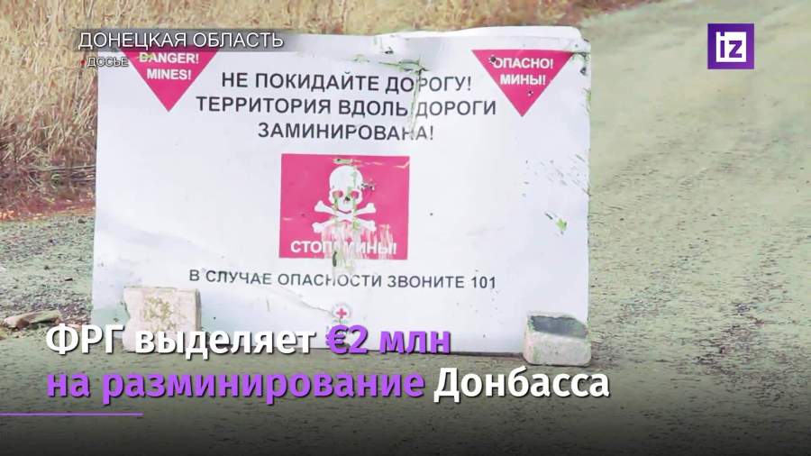 ФРГ выделяет €2 млн на разминирование Донбасса