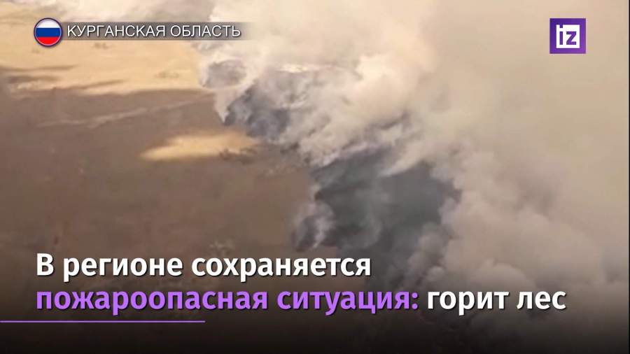Курган задыхается от смога от пожаров