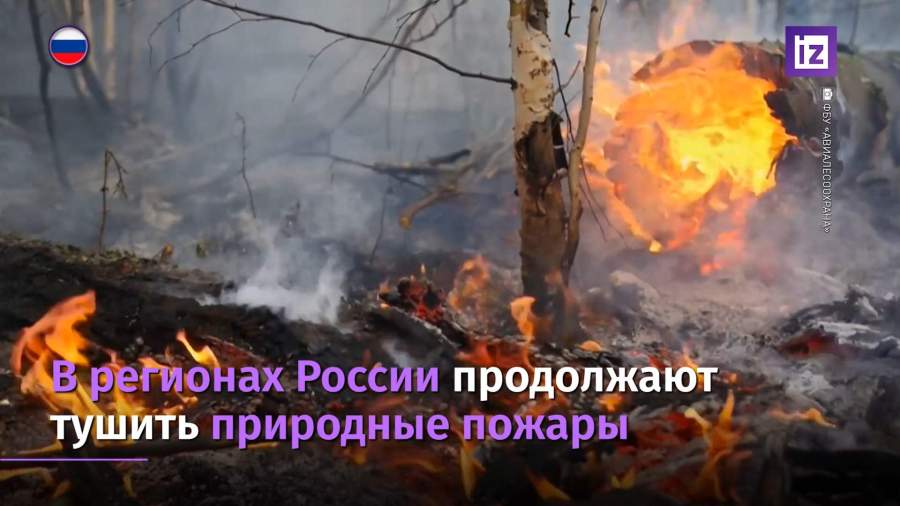В регионах России продолжают тушить лесные пожары